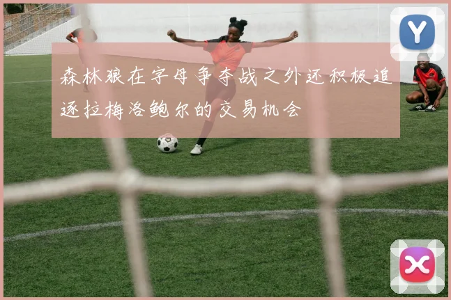 森林狼在字母争夺战之外还积极追逐拉梅洛鲍尔的交易机会